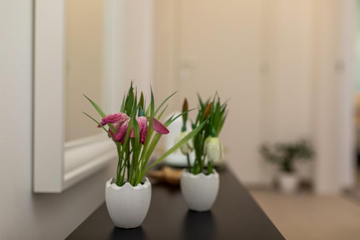 Apartman Grzetic Šilo 外观 照片
